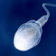 Illustration for article titled Male Infertility may be Caused by Mutant Sperm